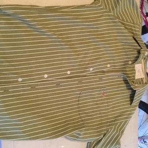 hollister button down